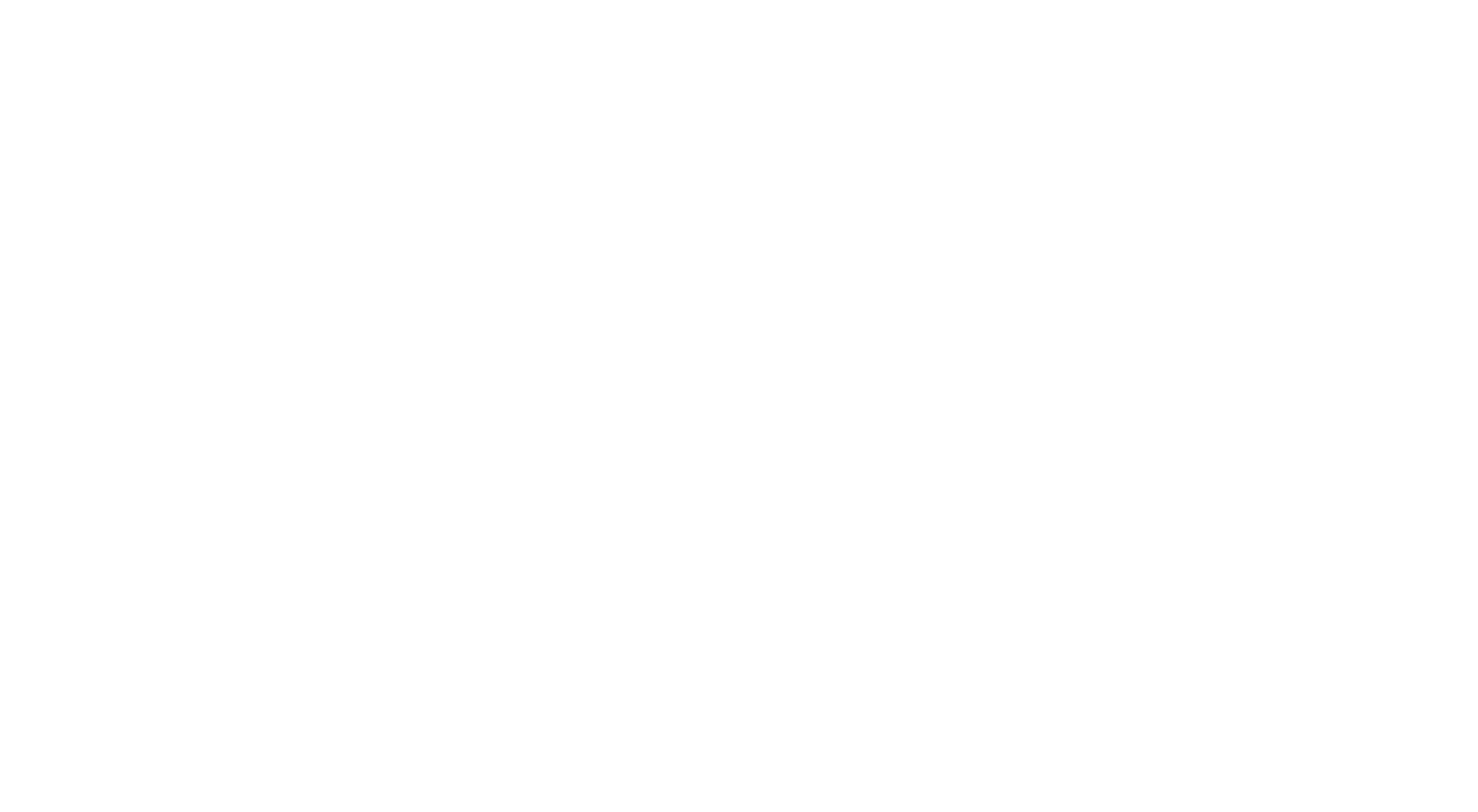 Blizgus.lt