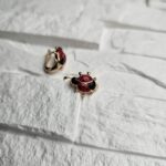 Ladybug Charm